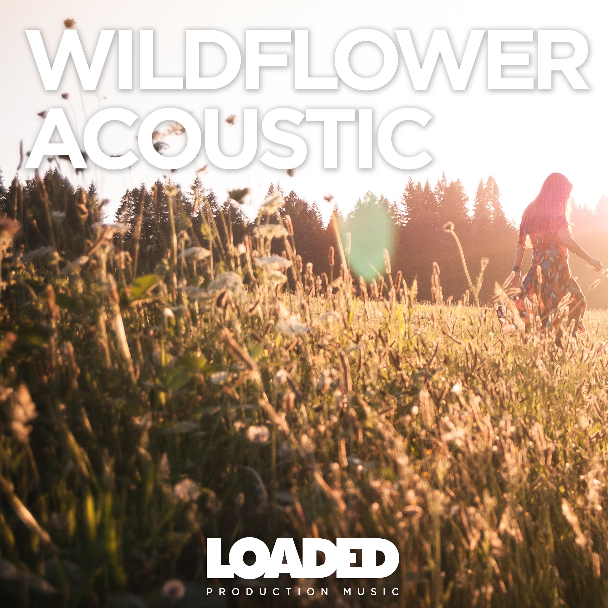 LPM 030 - Wildflower Acoustic - Album Cover