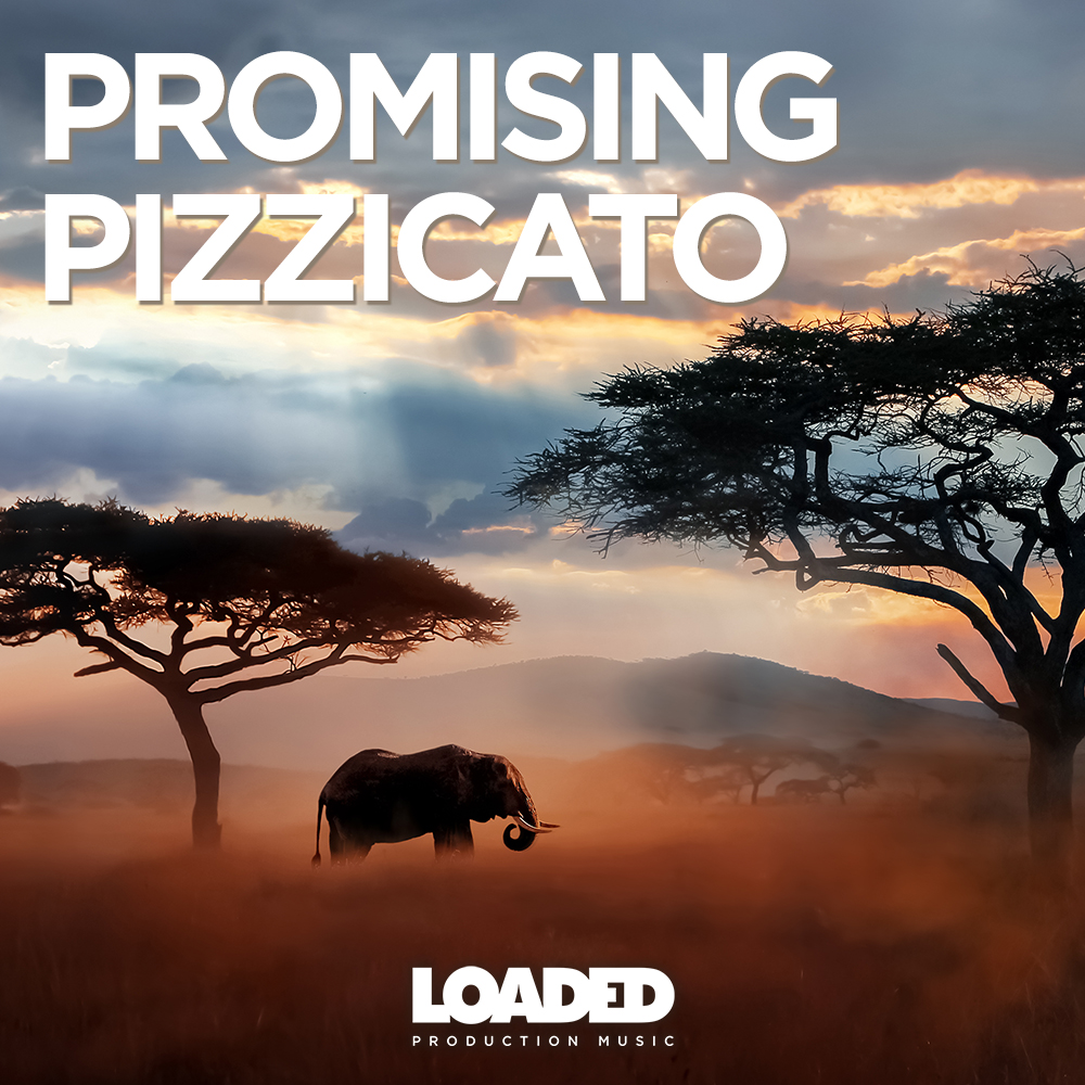 LPM 126 - Promising Pizzicato - Album Cover