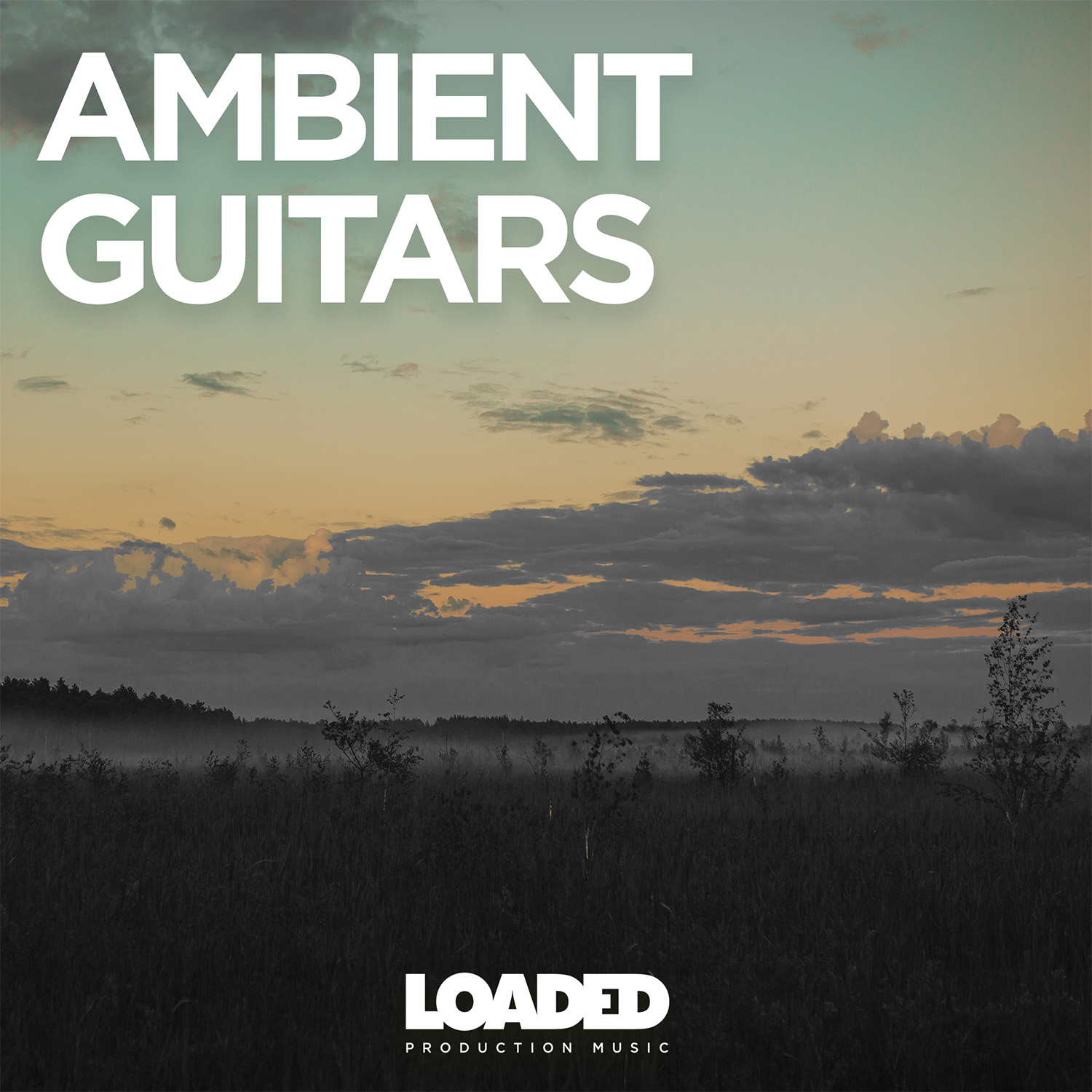 LPM 175 - Ambient Guitars - Album Cover