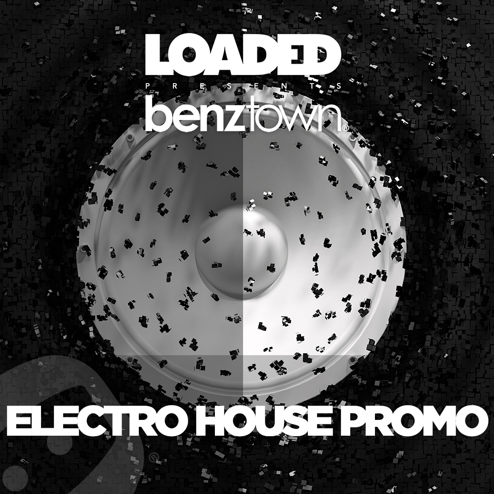 LPM 813 - Electro House Promo - Album Cover
