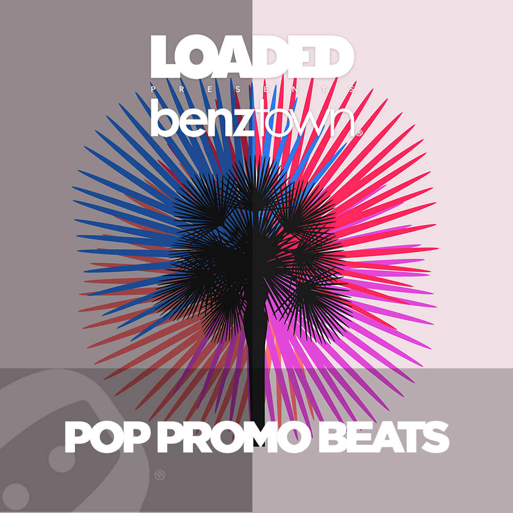 LPM 836 - Pop Promo Beats - Album Cover