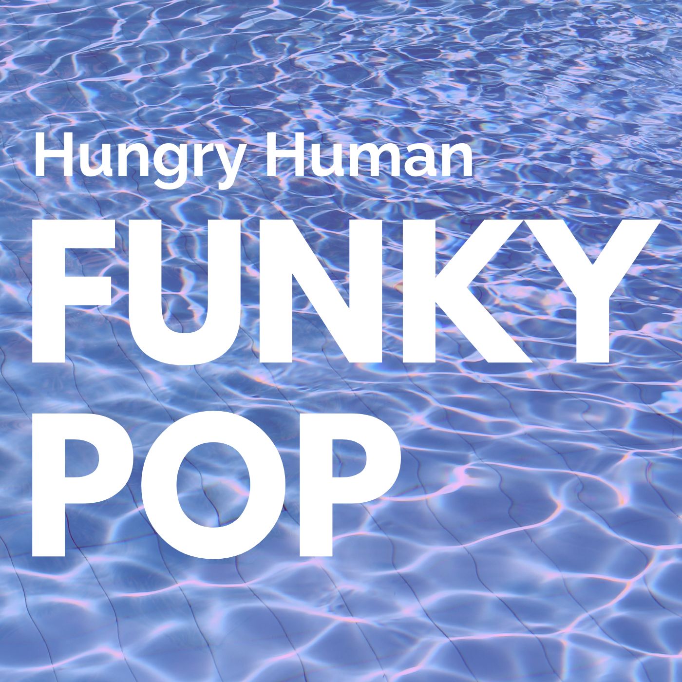 Hungry Human Funky Pop Album Cover