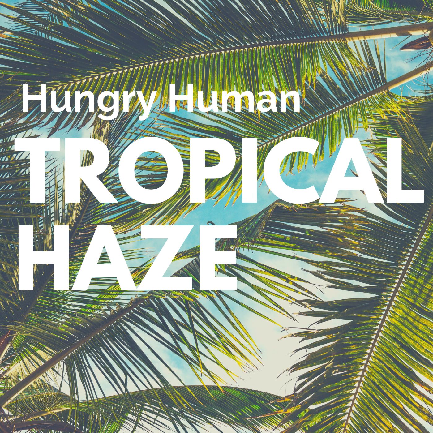 Hungry Human Tropical Haze Album Cover Art