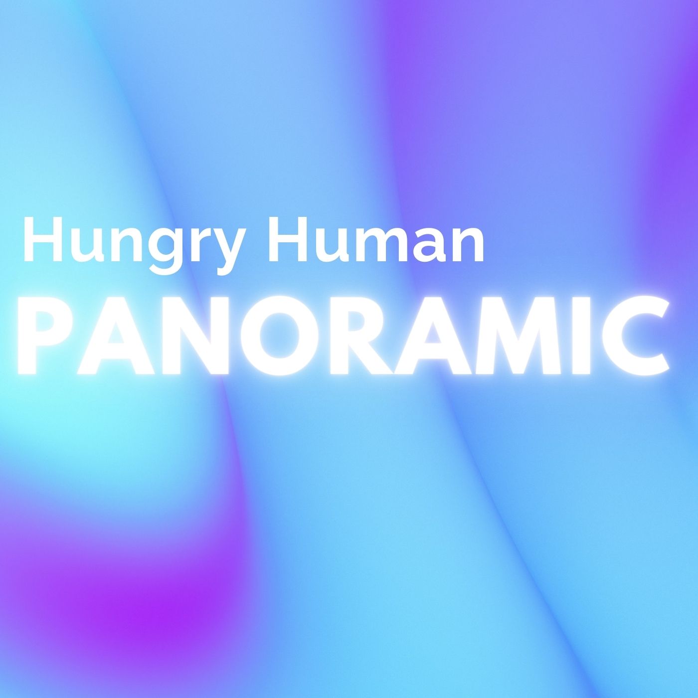 Hungry Human Panoramic Album Cover Art