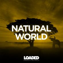 PL - Natural World